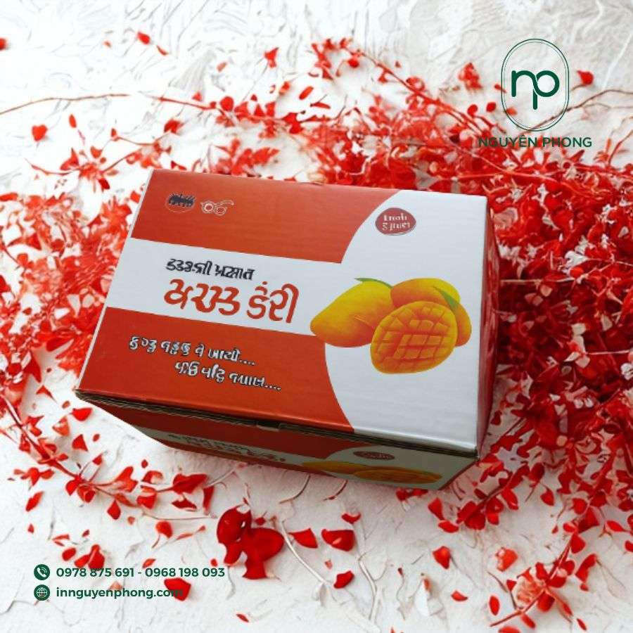 in-hop-carton dung-xoai-gia-re-tai=ha-noi